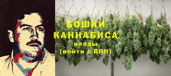гидропоника Абаза