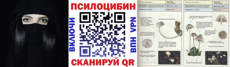 Псилоцибиновые грибы Psilocybe даркнет сайт Волгоград